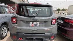 جيب رينيجيد